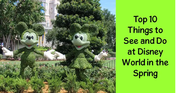 Top 10 Things To See & Do at Disney World in the Spring