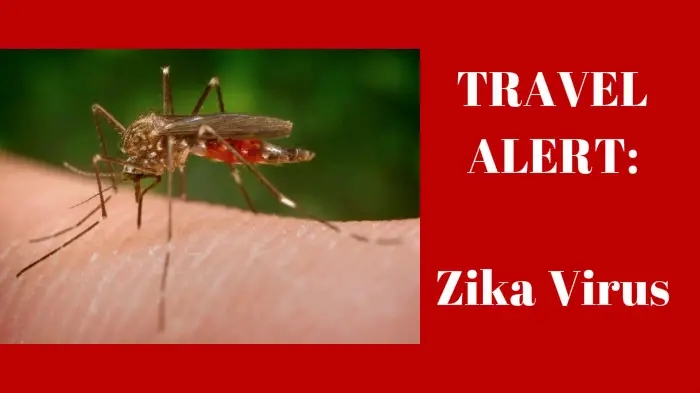 TRAVEL ALERT for Disney Cruise Line Guests- Zika Virus