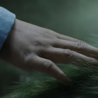 Disney's Pete's Dragon first look