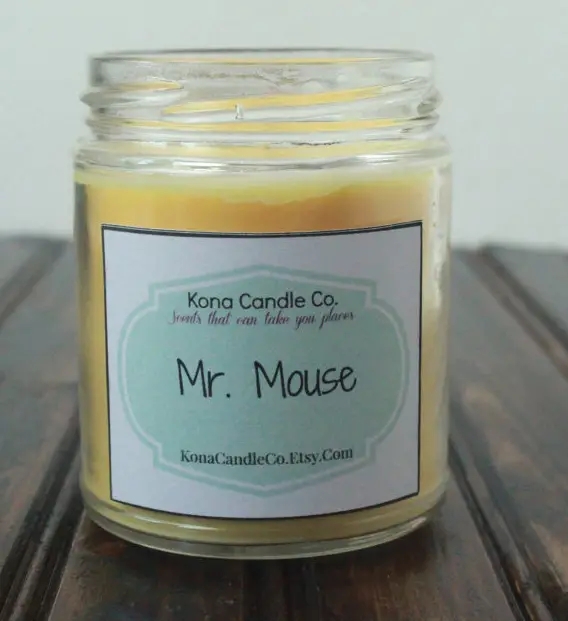 These Disney Inspired Candles Will Transport You To The Happiest Place On Earth