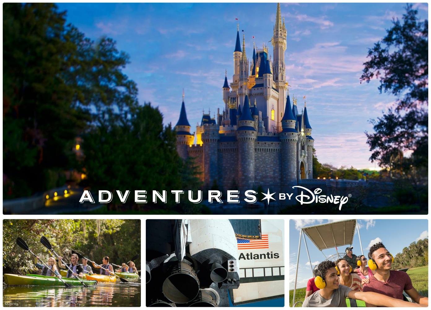 The Ultimate VIP Walt Disney World Experience