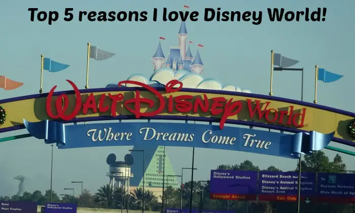 Top five reason’s I love Disney World!