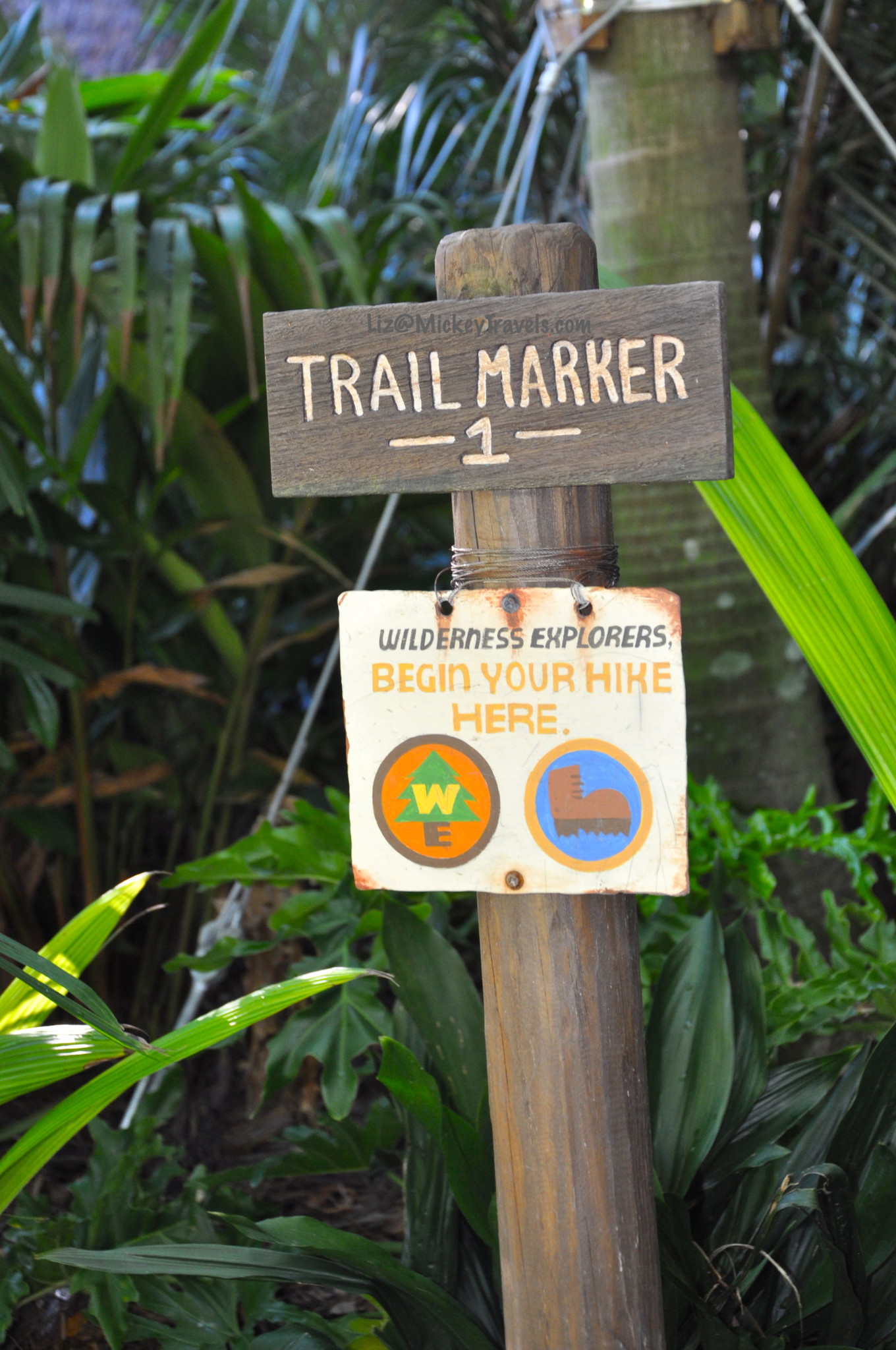 Become a Wilderness Explorer for the Day at Disney’s Animal Kingdom!
