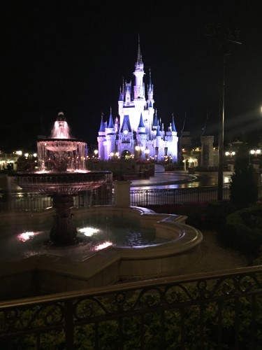 Disney After Hours Event: 50% Discount For Annual Passholders & DVC Members