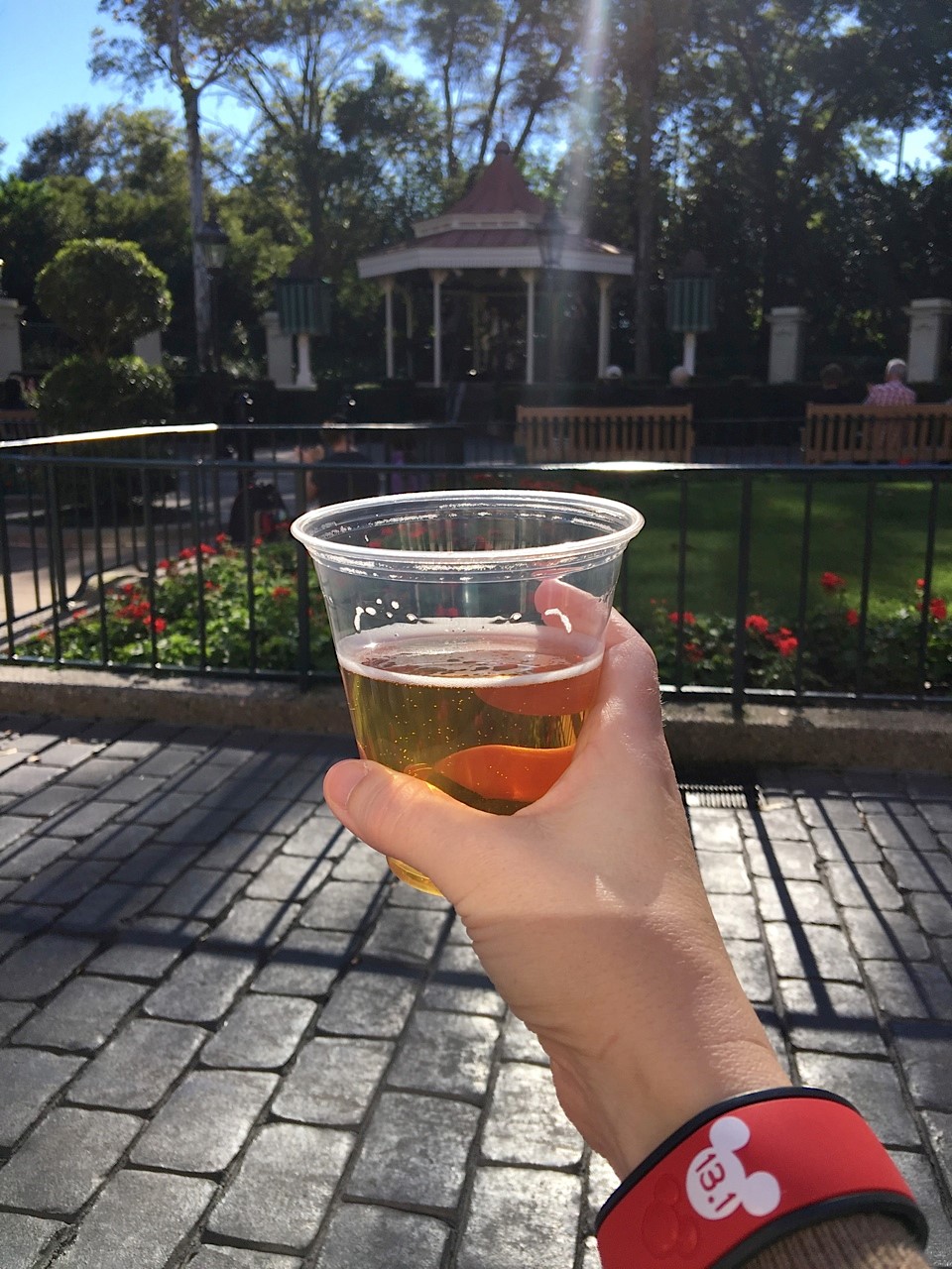 New Alcoholic Drink Options Appearing at Walt Disney World