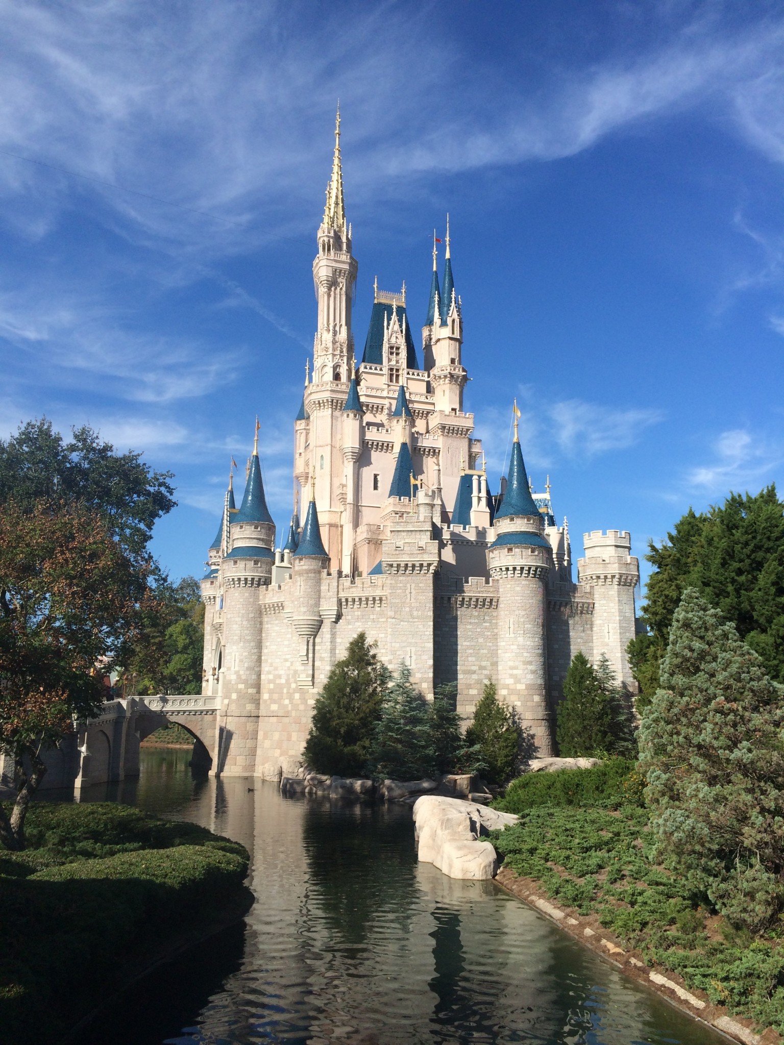 Premium Disney World Services – Guest Convenience or Money-Making Opportunity?
