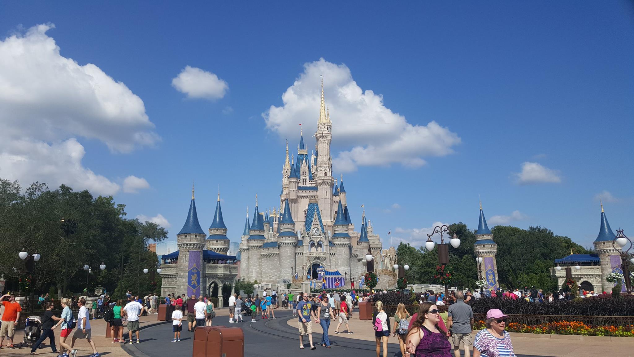 Magic Kingdom is the most visited theme park in the world!