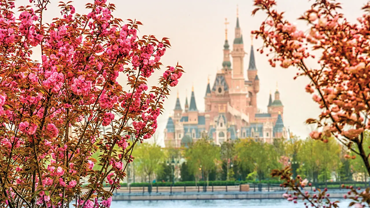 Cast Members at Shanghai Disney Begin Trial Operations