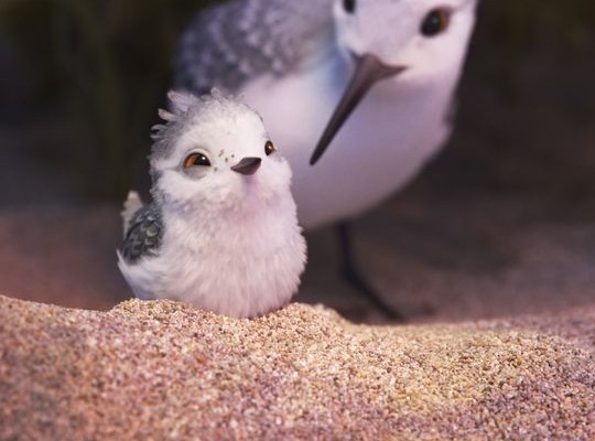 A Look Into the World of Pixar’s Piper