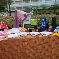 Journey to Wonderland at Grand Floridian's Gone Mad Party