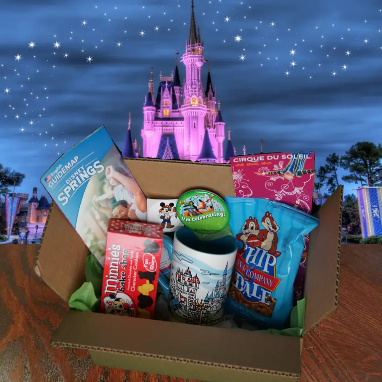 An Exciting Treat with ParkSack Monthly Disney Subscription Boxes!