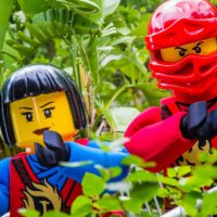 New Ninjago World coming to LegoLand Florida in January!