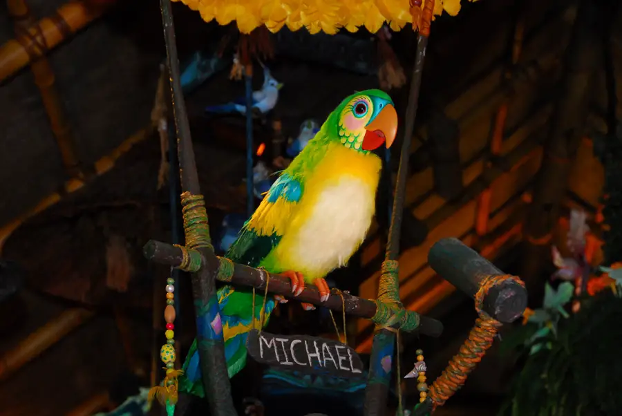 Food and Drink now Allowed in the Enchanted Tiki Room