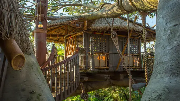 Re-Opening of Swiss Family Robinson Treehouse Delayed