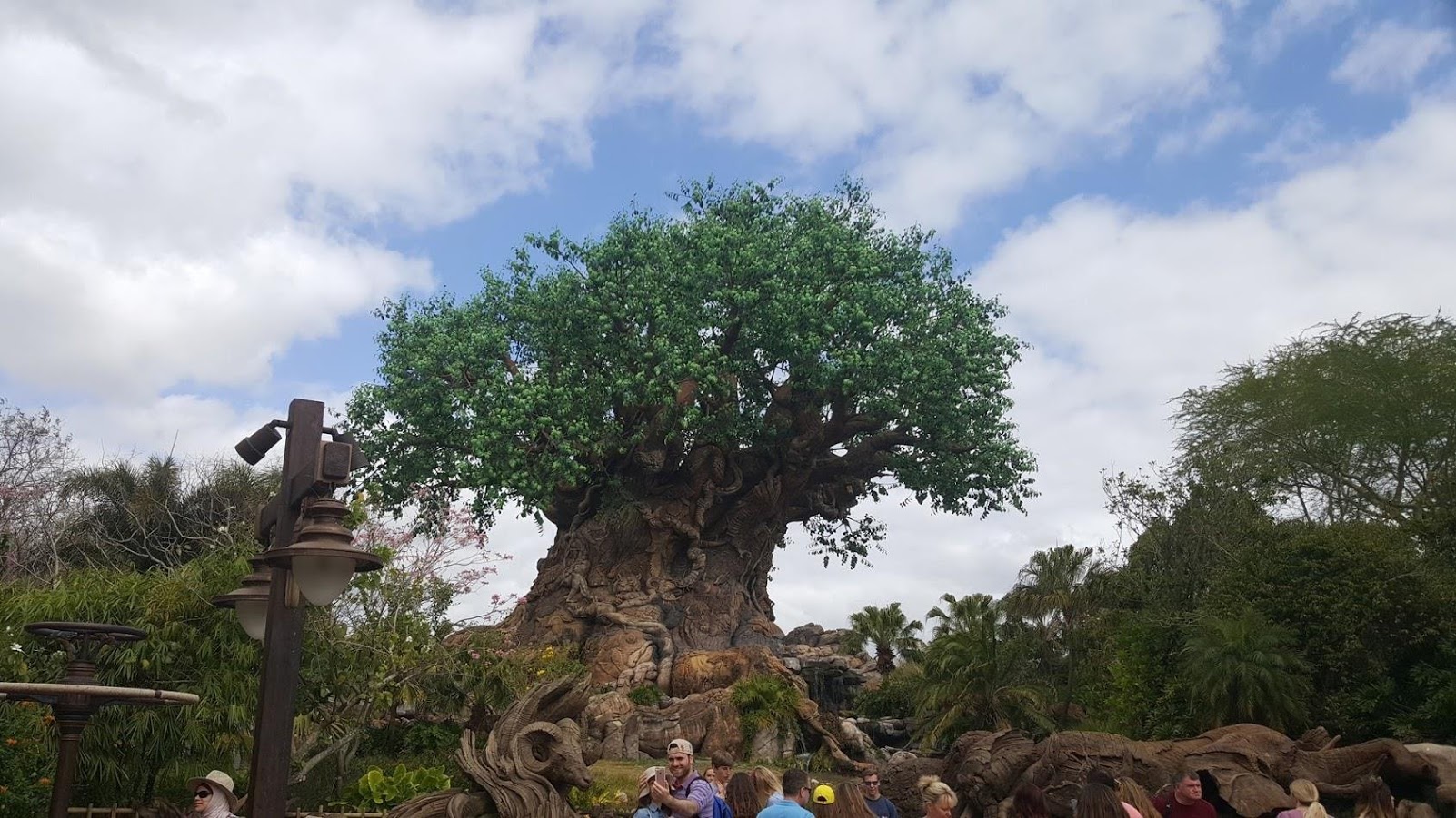 New Meet and Greet Location for Tarzan at Disney’s Animal Kingdom Park