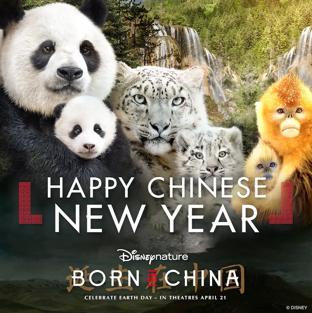 Receive A Special Rate When Bringing Groups Of 20 Or More For DisneyNature’s “Born In China”