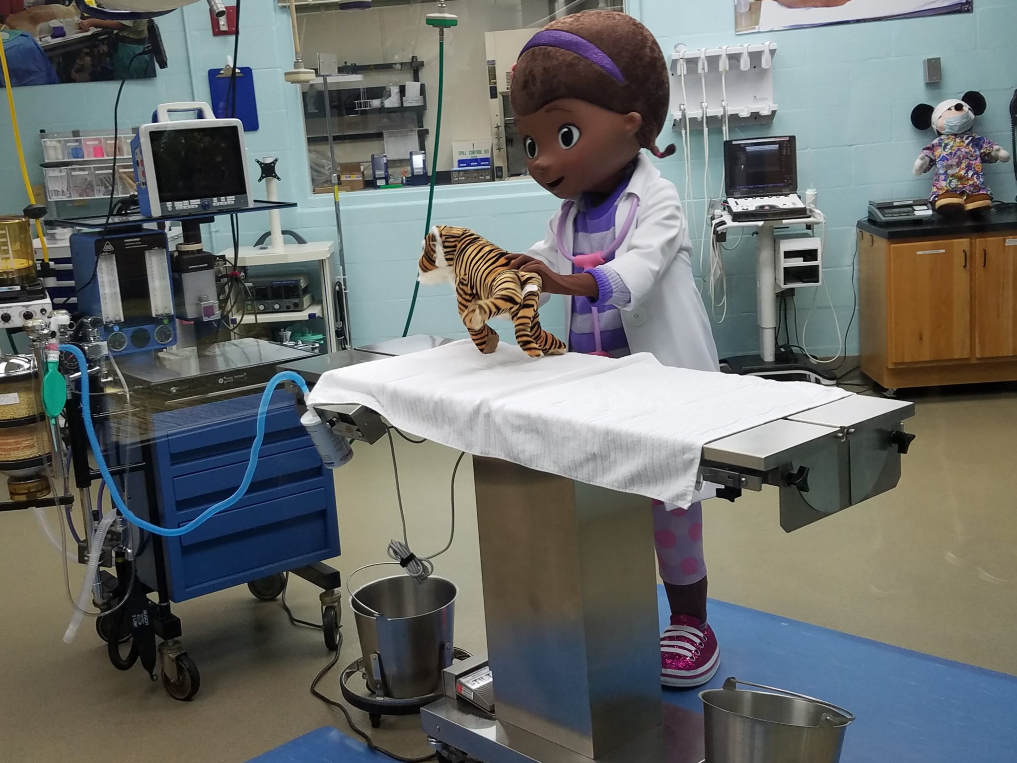 New Doc McStuffins Character Meet in Animal Kingdom’s Conservation Station