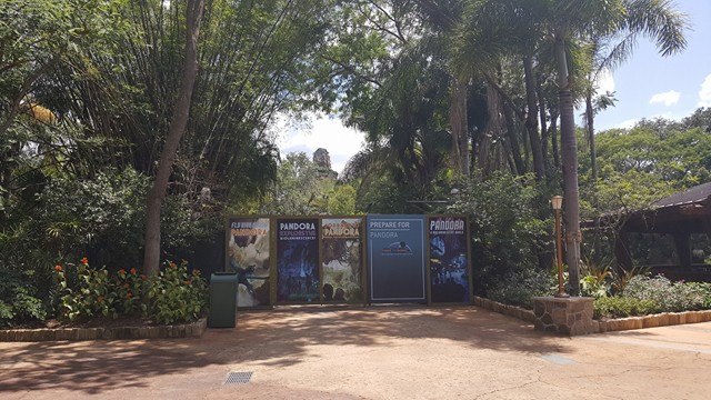 Animal Kingdom at Night – Theme Park Hours Extended