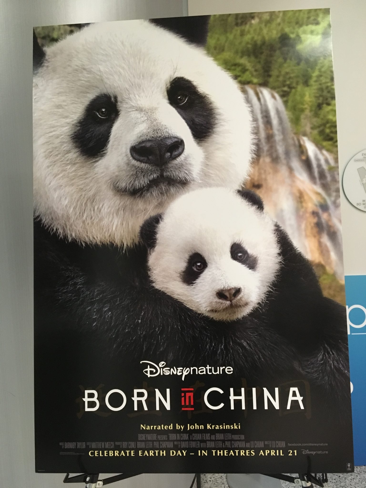 “Born In China” Documentary Review