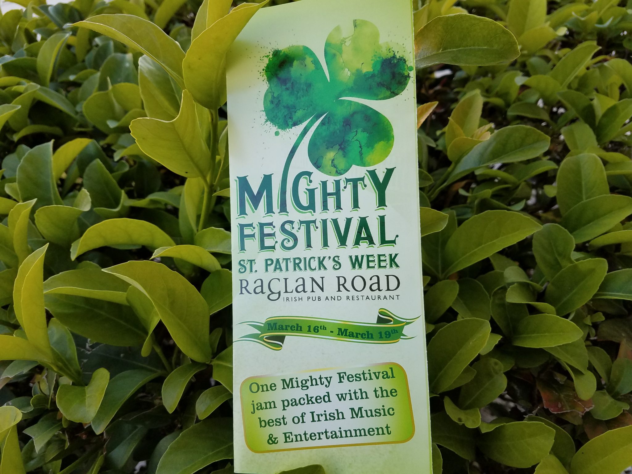 Raglan Road Mighty Festival Celebrates St. Patrick’s Week