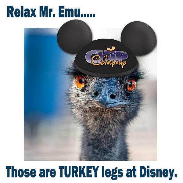 Disney’s Turkey Legs Aren’t What They Seem According to Tangled’s Zachary Levi