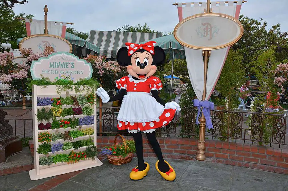 LIMITED TIME: Garden Photos With Minnie Mouse at Disneyland Park’s Plaza Inn Breakfast