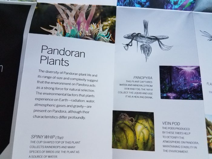 Check Out The Field Guide for Pandora-The World of Avatar