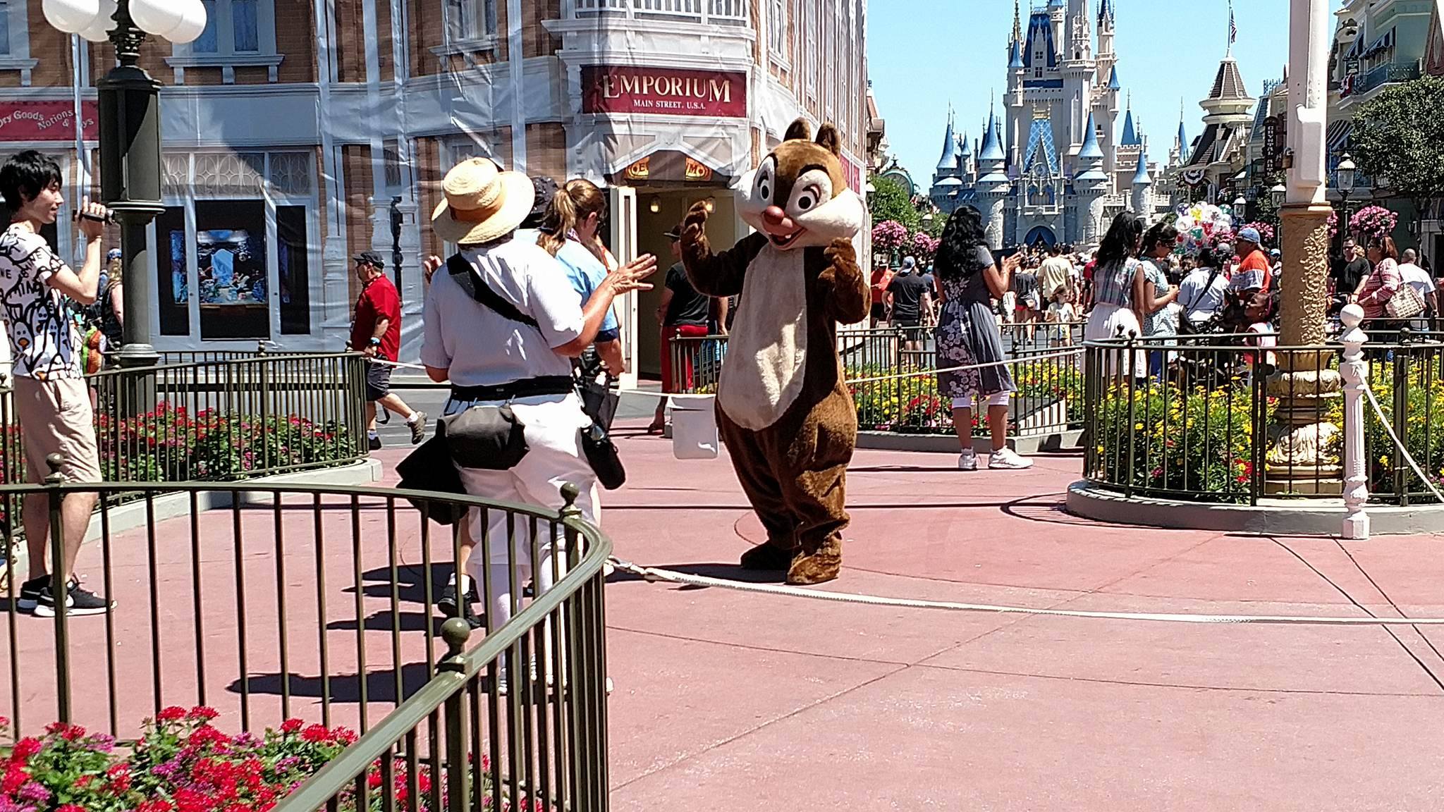 Chip ‘n Dale Now Meeting Guests at Magic Kingdom’s Town Square
