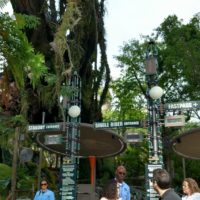 Test Seat Available for Pandora's 'Avatar Flight of Passage' Attraction
