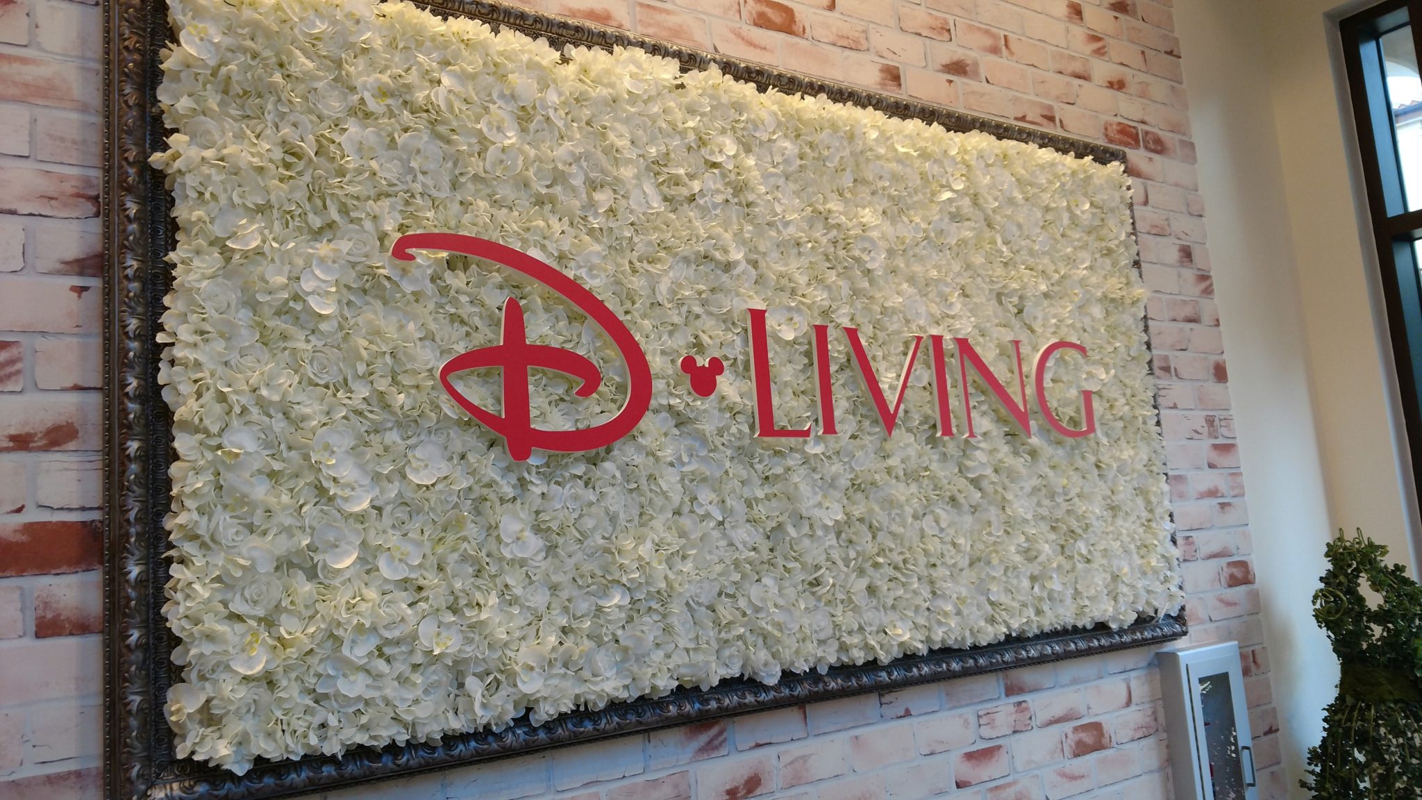 The D-Living Store at Disney Springs Gets a New Summer Look