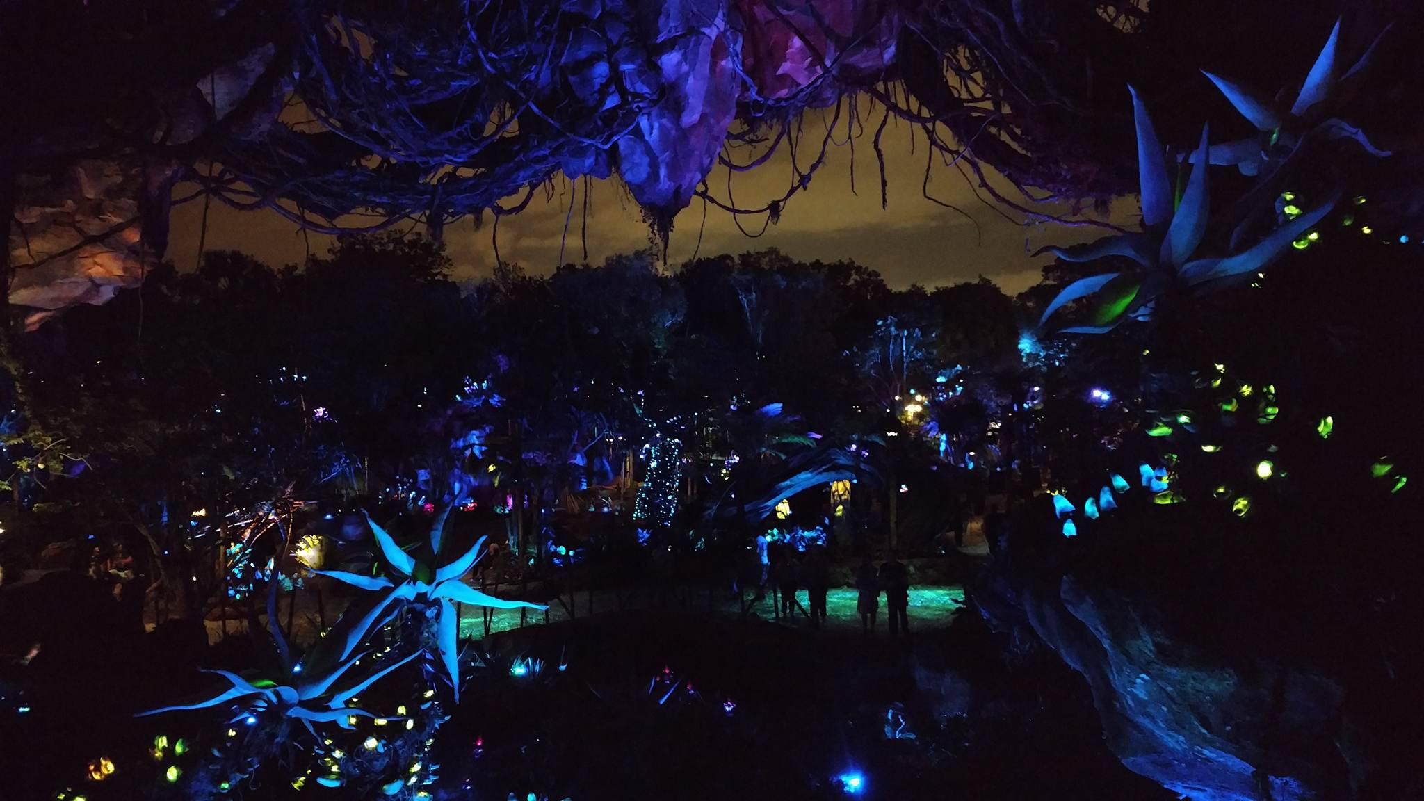 See Pandora – The World of Avatar Come to Life After Dark