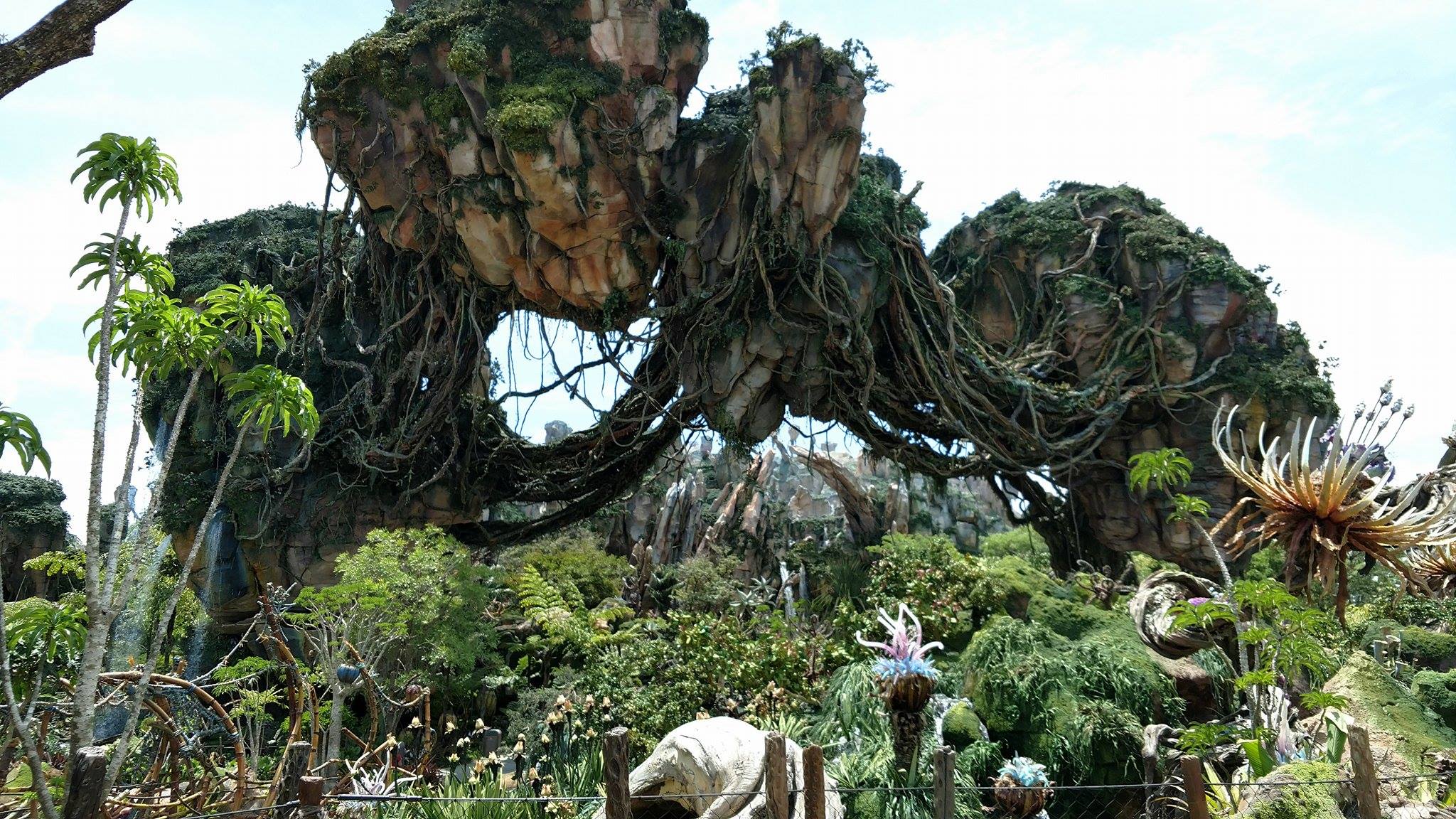 BREAKING : Pandora – The World Of Avatar Is In Soft Opening Today!
