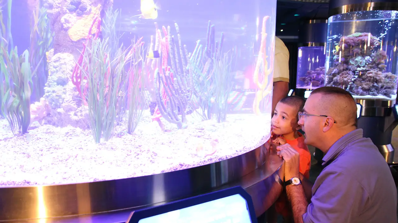 Celebrate World Oceans Day with Nemo & Friends at Epcot