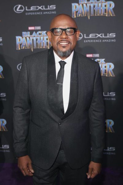 Photos From the 'Black Panther' Premiere