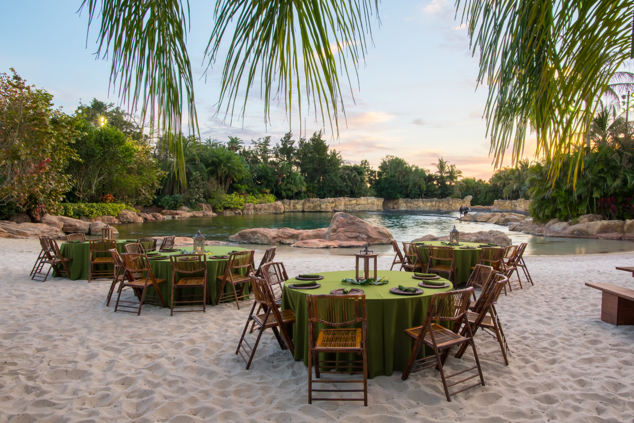 Dine Alongside Dolphins During Discovery Cove’s Paradise Nights