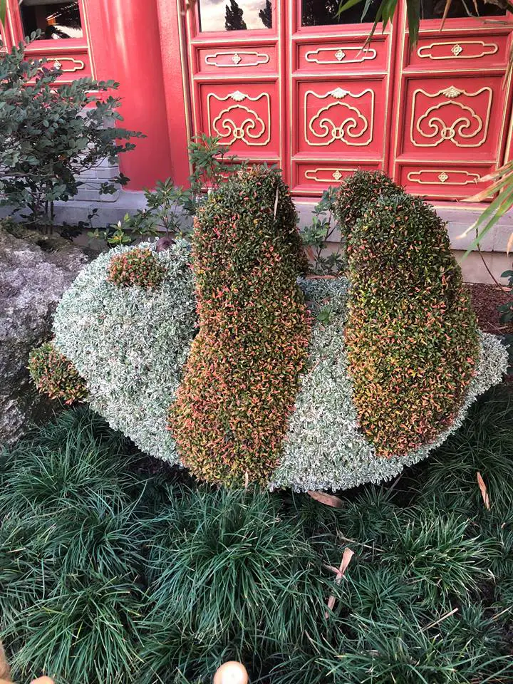 Topiaries Are Making Their Way Out for Epcot Flower and Garden Festival