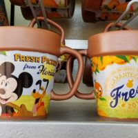 Check Out the Gorgeous Epcot Flower and Garden Festival Merchandise