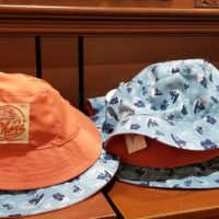 It's a Shore Thing, New Disney Parks Surf Inspired Collection