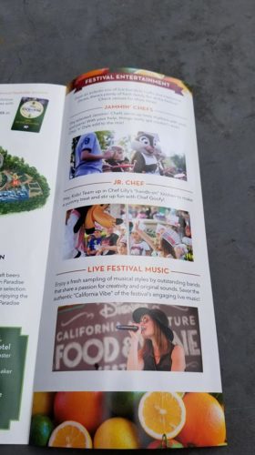 Guide Map Festival Entertainment