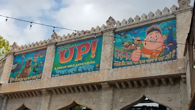Take A Peek at Animal Kingdom’s New Show – UP! A Great Bird Adventure