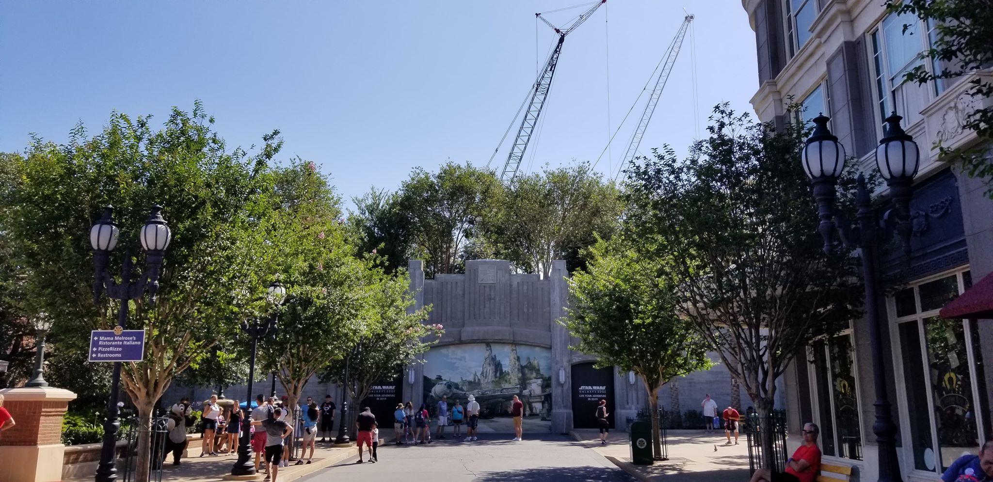 PHOTOS: New Foliage Installed at Star Wars: Galaxy’s Edge in Hollywood Studios