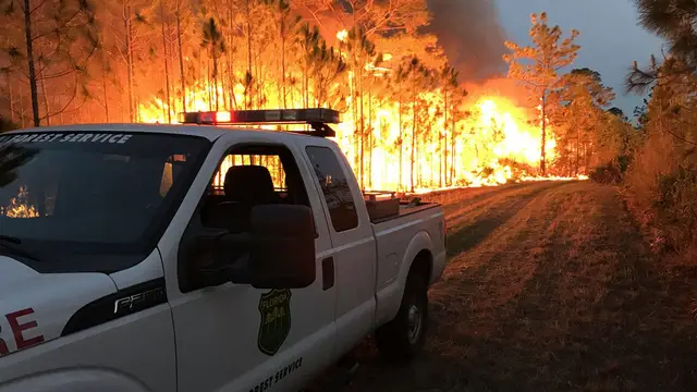 ‘Triangle Fire’ Four Miles South of Walt Disney World Causing Smoky Driving Conditions
