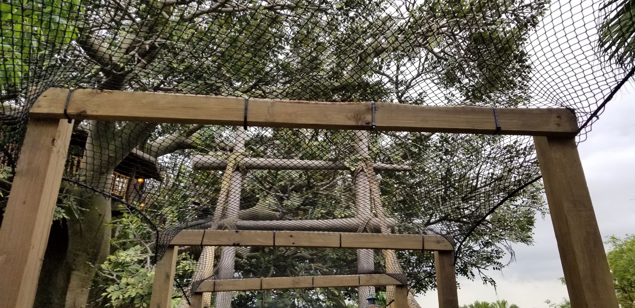 Swiss Family Treehouse Now has Safety Netting