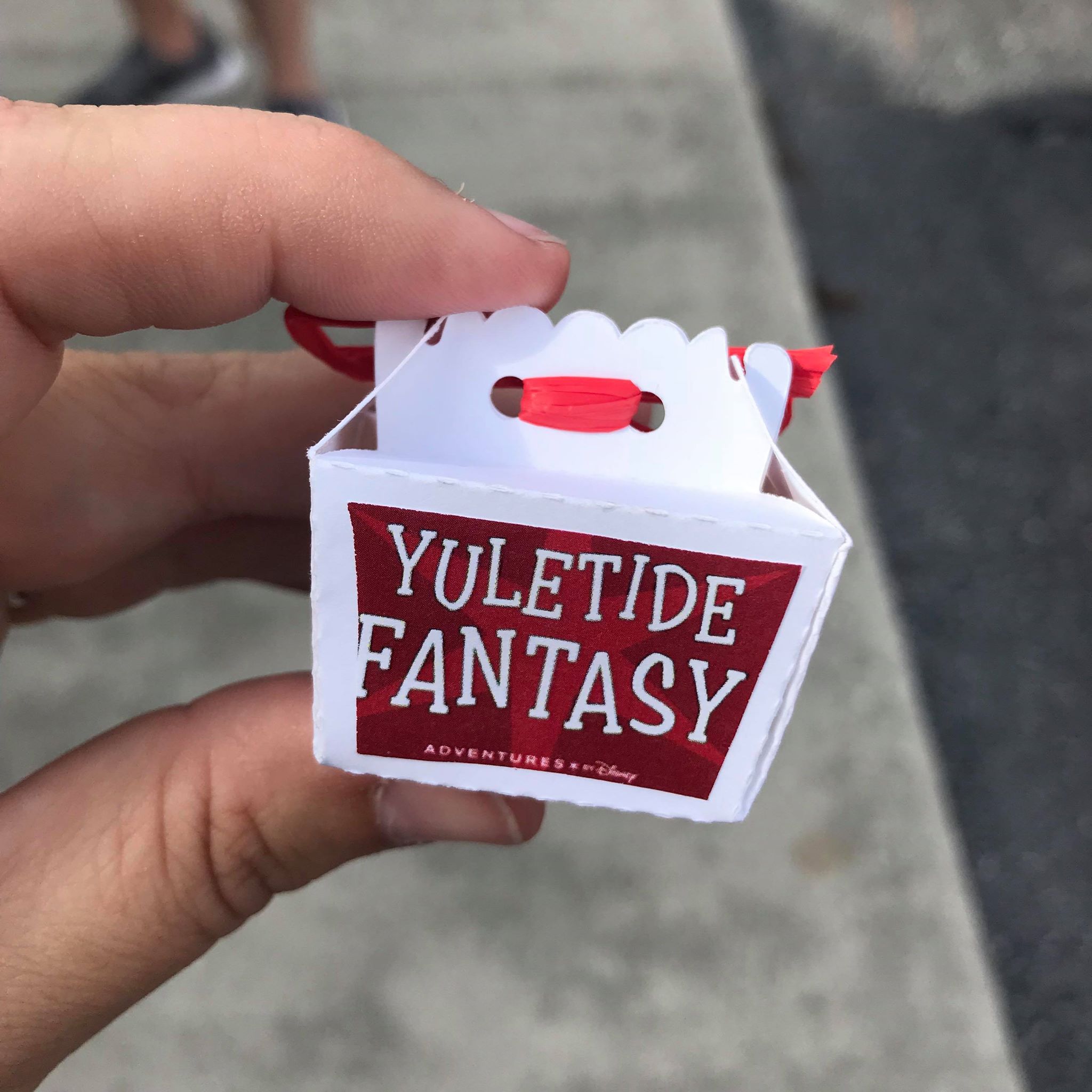 Disney's Yuletide Fantasy Tour