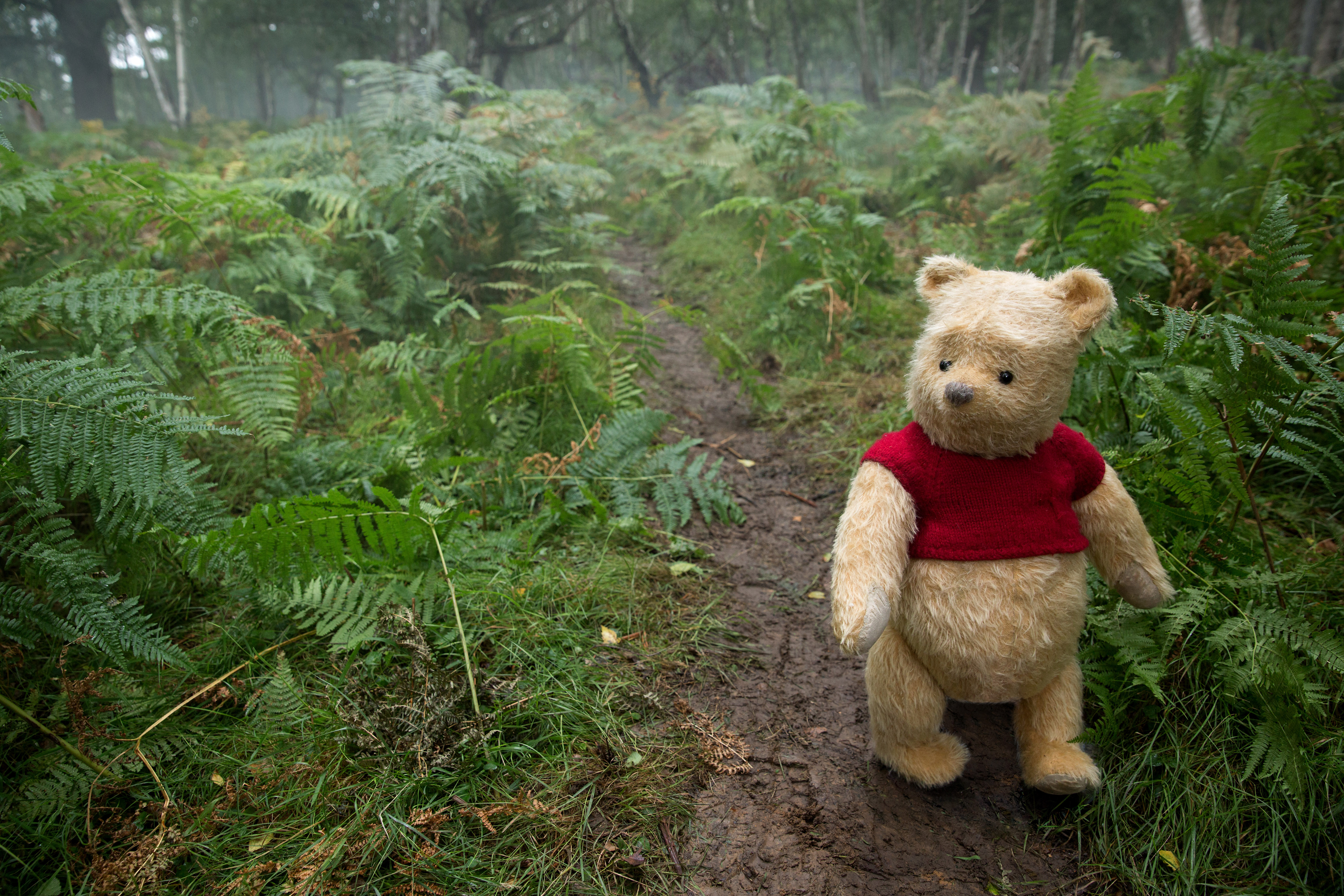 ‘Christopher Robin’ Will Not Be Released in China