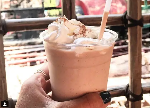 The Rancho del Zocalo Blended Horchata is a Must Try at Disneyland Park