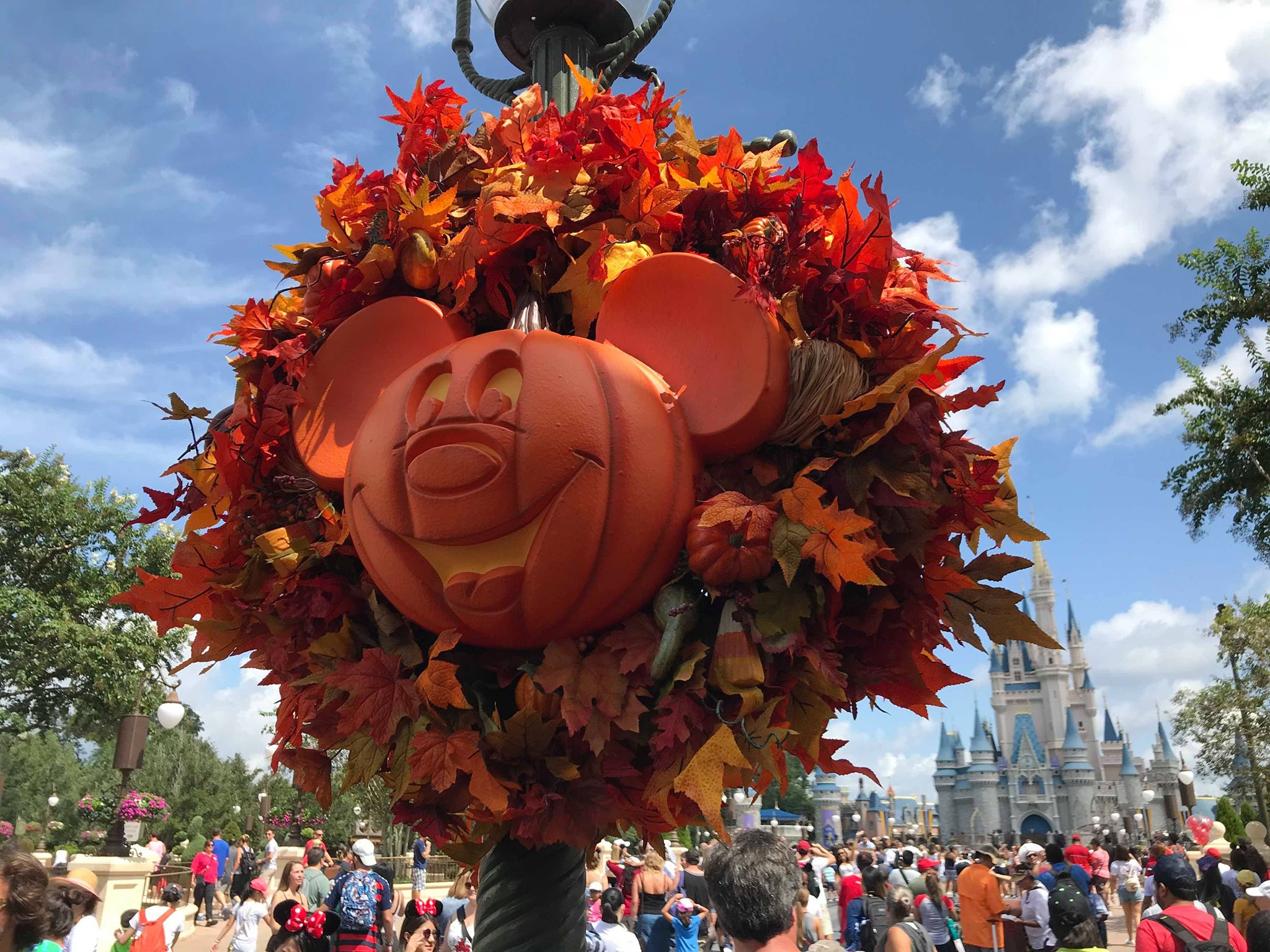 Halloween Decorations Have Started To Go Up At Magic Kingdom!