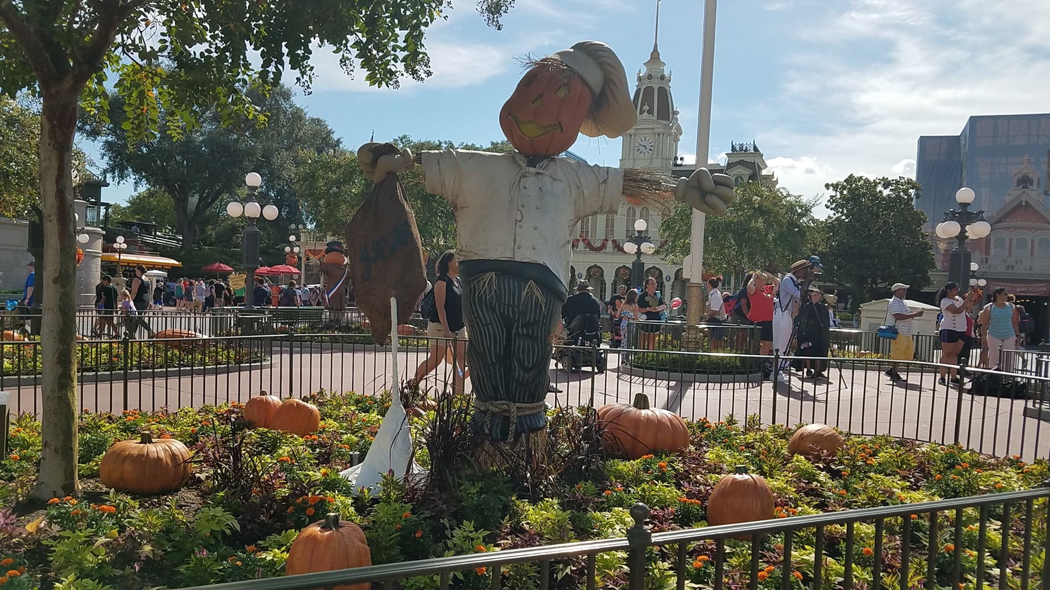 Decorations at Mickey's Not-So-Scary Halloween Party