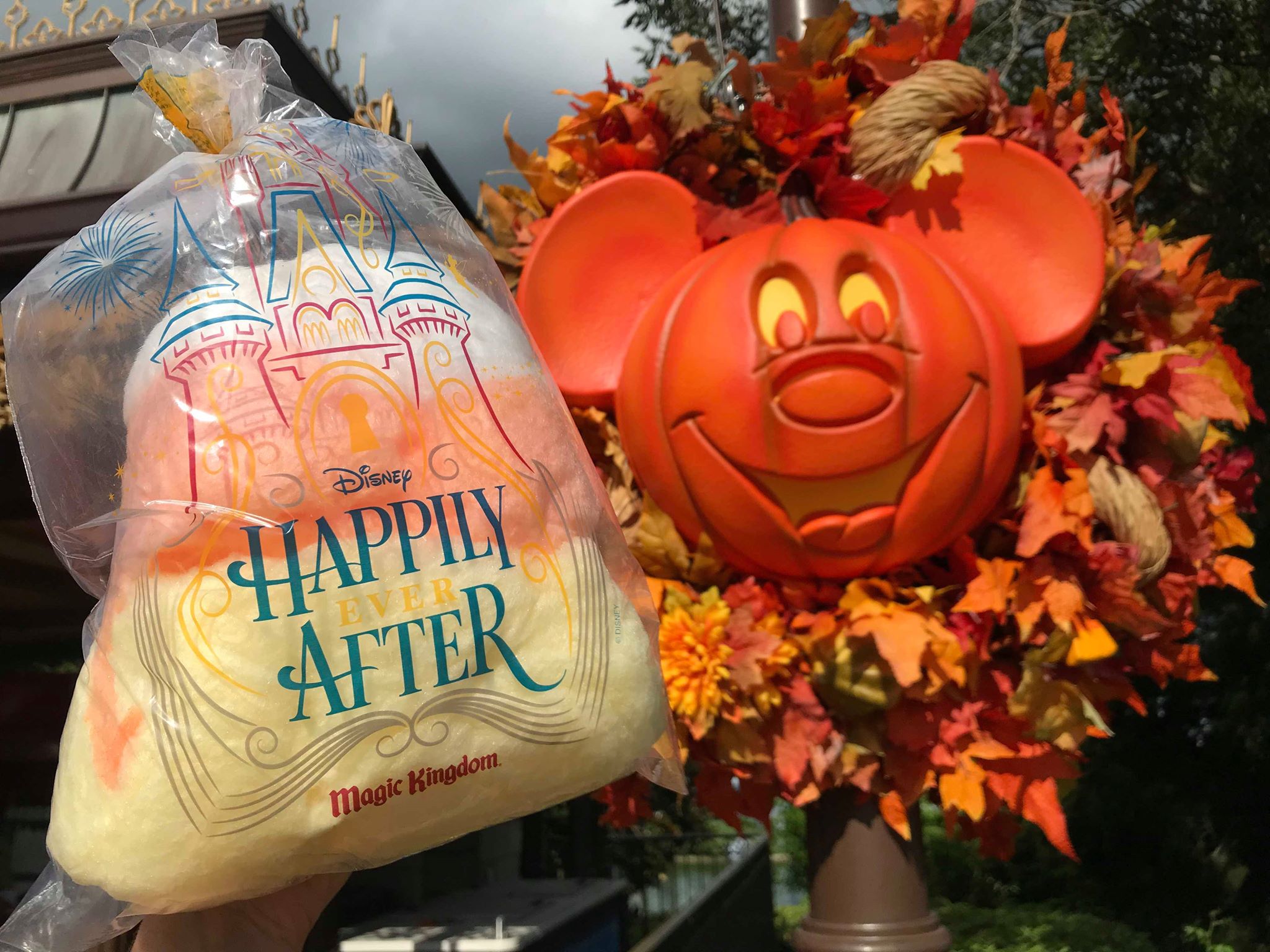 MNSSHP Food 6