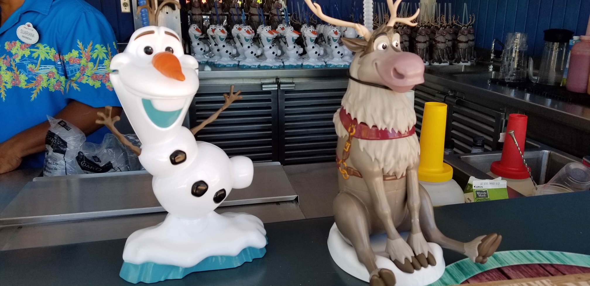 Enjoy a Cold Beverage with Olaf or Sven at Disney’s Castaway Cay